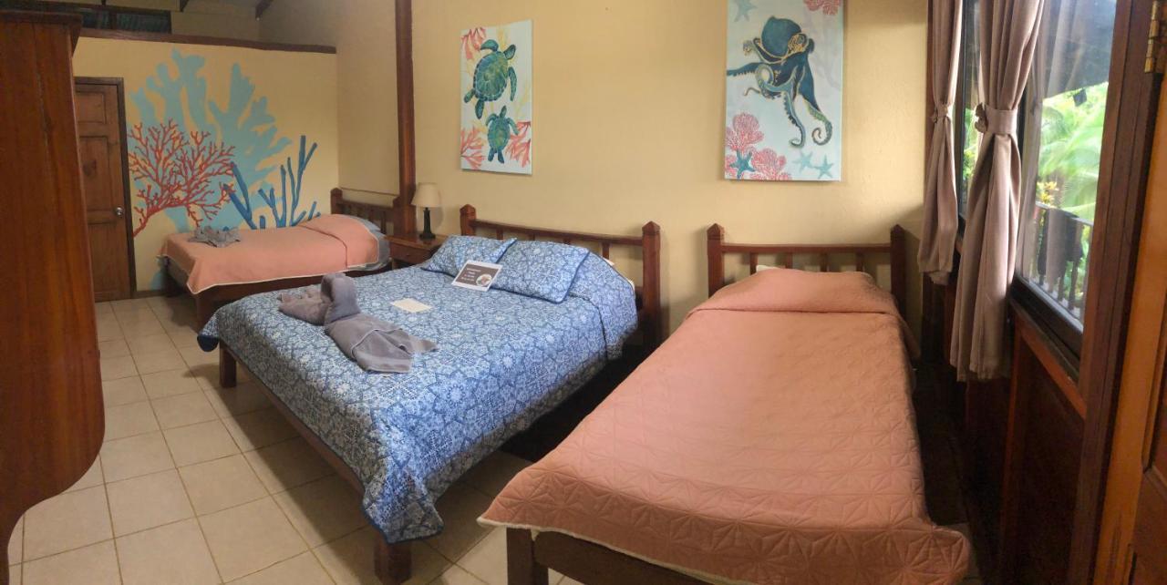 Hotel Jinetes De Osa Драке Экстерьер фото